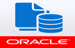 Oracle数据库管理工具有哪些?-北京MK线上平台,MK（中国）公司