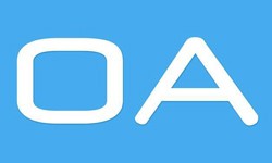 软件外包公司、OA系统开发功能有哪些？费用是多少-MK线上平台,MK（中国）公司[MK线上平台,MK（中国）]